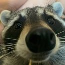 뚱이양꼬치 | 2026 한민겨 근황과 그동안의 기억 다 끄집어내기