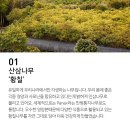 추석 선물용 침향단 온라인 투어&amp;새댁님의 약초 천연 화장품 체험가 온라인 투어 이미지