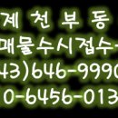 중앙시장(1207) 이미지