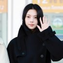 도도한 스타뉴스