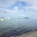 말리비치 이미지