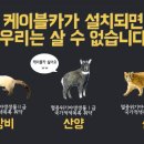 그린케이크 이미지