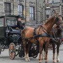 행운마차 이미지