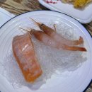 [광주 수완지구 맛집] 사장님 배불러요.. 그만 주세요... 가성비 참치 맛집 &#34;착한참치&#34; 내돈내산 후기