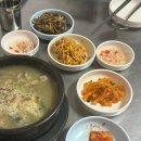 맛나순대국 | 서울 굴무침 맛집 성신여대 맛나순대국 재방문 후기