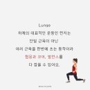 로에필라테스