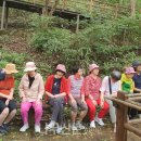 운문산자연휴양림 나무신문