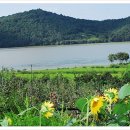 가야곡면 평매마을 이미지