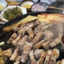 제주우 이미지