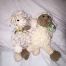 호양농장 이미지