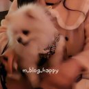 방배천로4길 15-28 | 서울 혼술바 감성 끝판왕새로운 친구들을 사귀는 밤 내잔 서울혼술바 성수점 후기