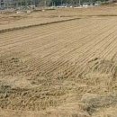 보성목장 이미지