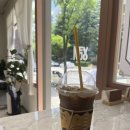 ☕ 첨단 컴포즈커피 쌍암점 돌체라떼 리뷰 | 바닐라라떼 대신 선택한 이유