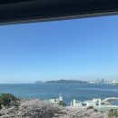 일루아 카페 | 호텔 일루아 해운대 오션뷰 호텔, 봄마다 내돈내산 하는 곳