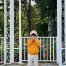 5월 둘째주 워킹맘 일상기록 | 로제도르 귀걸이 겟, 어린이날 여주 루덴시아 테마파크, 화담숲, 포...