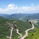 🎋⛰여름산행 상식(계곡산행)⛰🎋 이미지