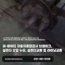일급화성자동차정비검사소