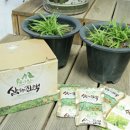 천마영농조합법인 이미지