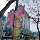 사랑의집 | 뮤지컬 &#39;사랑의 하츄핑&#39; 관람후기