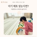 크림 하우스 | 크림하우스 프리2S 솔직 후기 매트추천 찾는다면?