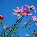 별헤는밤 - 구미시 | 별헤는밤