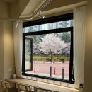 반석동로 | [대전/반석] 반석과일산도 ‘쿠다모노야’ 가오픈기간 방문 후기 | 대전신상카페, 대전 쿠다모노야