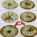 창조노인복지센터 | 전주 섬김노인복지센터 창조활동 봄.. 향긋한냉이