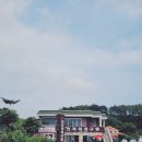 연곡천 | 강릉 맛집추천: 꼭 한번 방문해볼만한 강릉 &#39;연곡꾹저구탕&#39; 내돈내산 맛집 솔직후기 (부모님 식사)