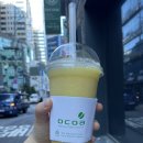 오코아 - 강남구 도곡로 405 | 오코아