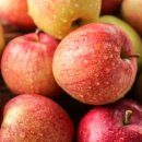 씨앗발전소 이미지