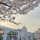 박종구 이미지