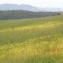 산딸기목장 이미지