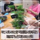 학장종합사회복지관 | 부산 사회서비스원 학장종합사회복지관 / 애광재가노인지원서비스센터