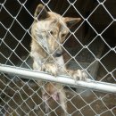 형수농장 이미지