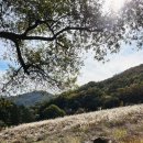 라 까시나 이태리 | 당일캠핑 라까시나 이태리 명당자리에서 캠크닉 (억새뷰 맛집)