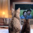 융릉ㆍ건릉 이미지