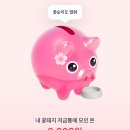 꽃돼지 티스토리