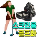 629 이미지