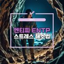 엔티피 이미지