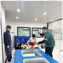 늘푸른 태권도장 네이버블로그