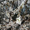 사선대농장 이미지