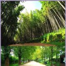 남도별미 이미지