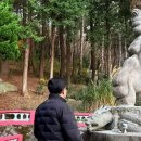 대한반려동물협회