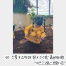 광주리가든 | 구미키즈카페 키즈고고&amp;스프링가든│아이랑 즐기는 특별한 실내 흙놀이 체험