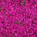 스마트가드너 이미지