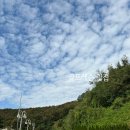 신라CC클럽하우스 | 여주 신라 cc 다녀온 후기|클럽하우스 메뉴|그늘집 메뉴|동코스|남코스