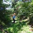 내태2리 이미지