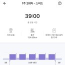 탐라새우 이미지