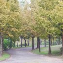 호수공원_원포광장 이미지