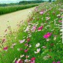 팜스빌리지 이미지